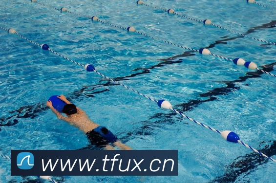 开云手机在线登陆入口平台生态图